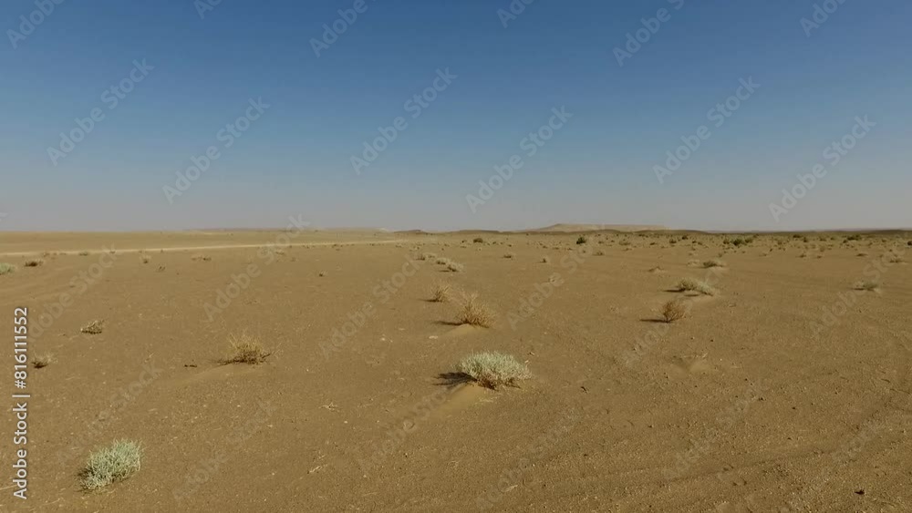immense beauty of a sandy desert, where dry bushes are scattered in a harmonious pattern across the landscape, majestic desert. immense beauty of a sandy desert, where dry bushes are scattered in a harmonious pattern across the landscape, majestic desert.