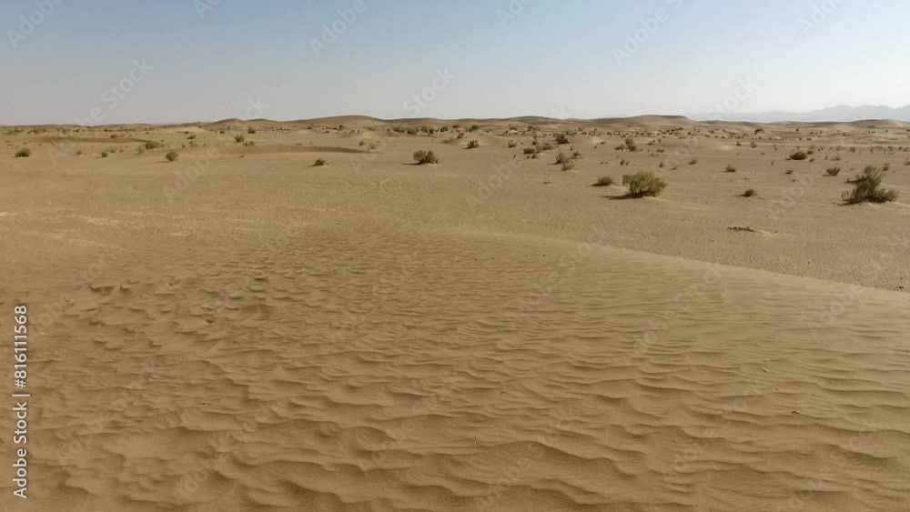 immense beauty of a sandy desert, where dry bushes are scattered in a harmonious pattern across the landscape, majestic desert. immense beauty of a sandy desert, where dry bushes are scattered in a harmonious pattern across the landscape, majestic desert.