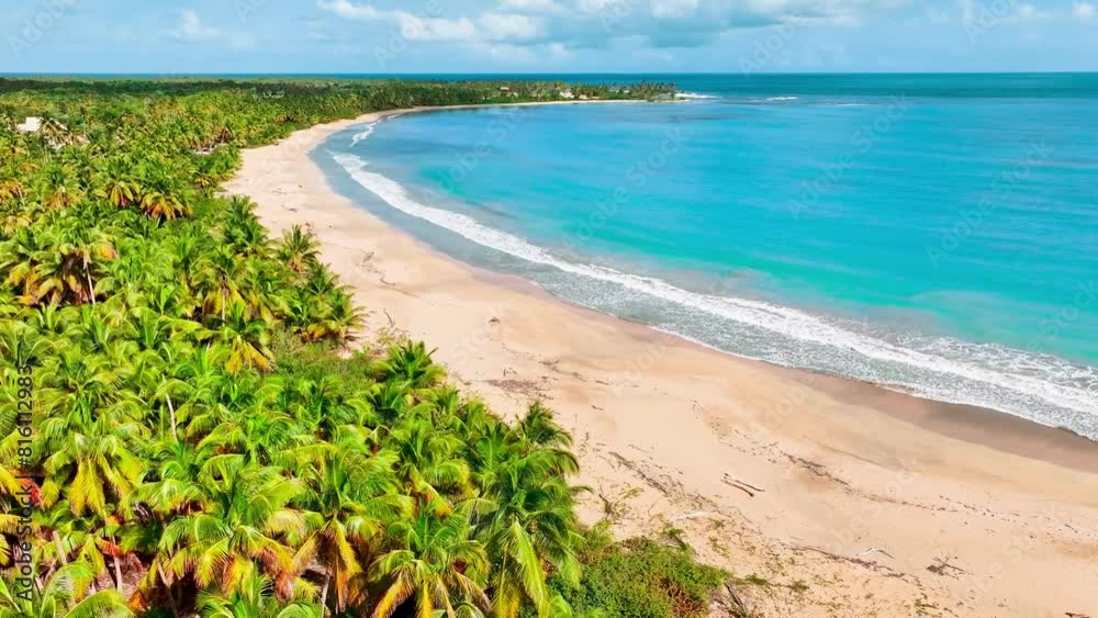 Landscape of a sunny Dominican beach on a summer morning. Generous and clean sandy beach with coconut palms. The Caribbean Sea laps the tropical coastline of the Dominican island. Landscape of a sunny Dominican beach on a summer morning. Generous and clean sandy beach with coconut palms. The Caribbean Sea laps the tropical coastline of the Dominican island.
