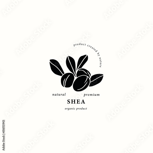 Flat vector shea nut with leaves logo