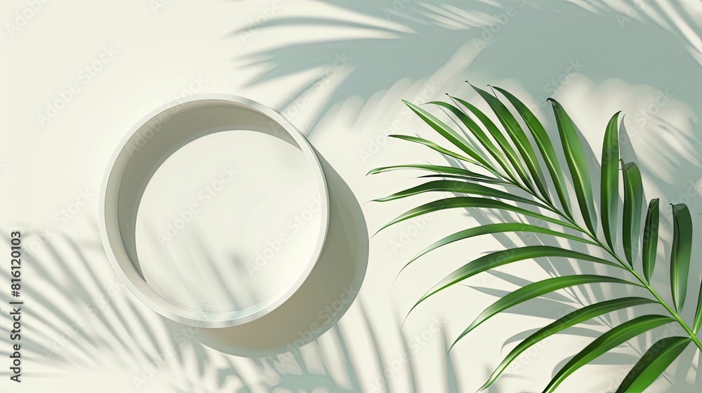 Professional 3D Rendering Top View of White Blank Cylinder Frame Mockup