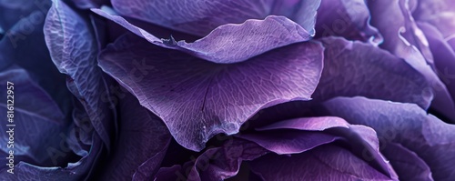 Close-up of delicate purple flower petals with soft textures