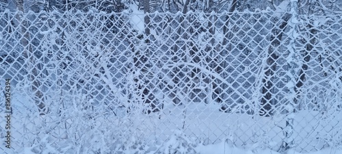 Snow covered fence in winter