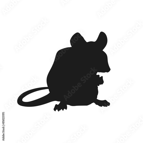 Isolated mouse silhouette. Rat black drawing. Wild rodent icon. Cute animal template. Pet logo