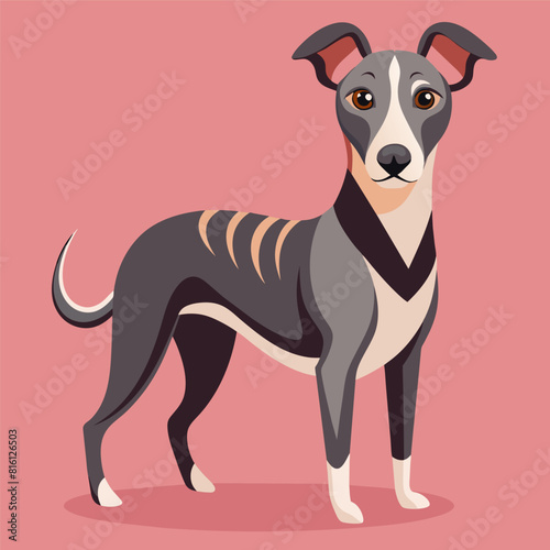 Colorful Dog Multi Color Illustration, Cute Illustration