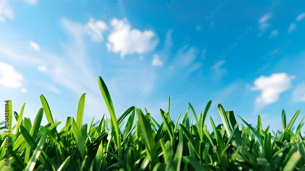 Obraz premium Green lawn and the blue sky This photo an ideal material for creation of a collage : Generative AI
