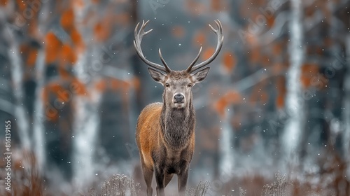 Noble deer male in the fall created by ai
