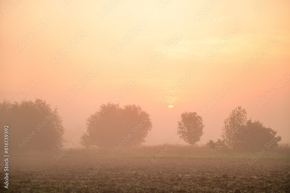 Bezaubernder Sonnenaufgang mit Nebel, Nebelschleier und Dunst am Morgen über einem Feld und Radweg mit Bäumen im Sommer, Sömmersdorf, Schweinfurt, Franken, Bayern, Deutschland Bezaubernder Sonnenaufgang mit Nebel, Nebelschleier und Dunst am Morgen über einem Feld und Radweg mit Bäumen im Sommer, Sömmersdorf, Schweinfurt, Franken, Bayern, Deutschland