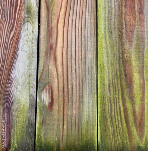 pollen ridden wood planks
