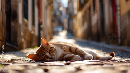 A cat lying on the ground on the narrow street with old houses Blurred background Porto Portugal travelling : Generative AI