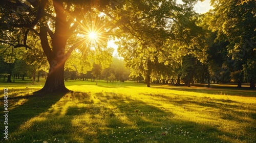 Under the vibrant rays of the sun parks and landscapes come alive with beauty and splendor