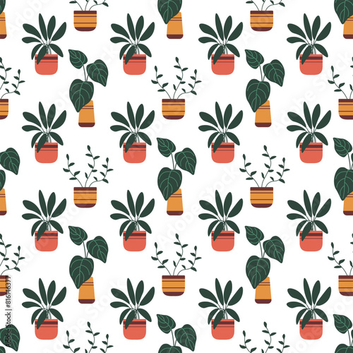 Vector seamless pattern with houseplants on white background. Tropical home plants.