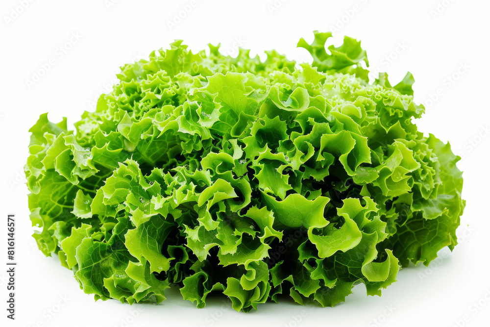 Obraz premium A head of crisp lettuce separated from any surroundings, showcasing its crunchy texture and versatility in salads and wraps. Concept of leafy greens and healthy eating. Generative Ai.