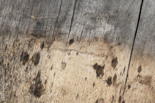 Old gray grungy plywood sheet, background photo © evannovostro