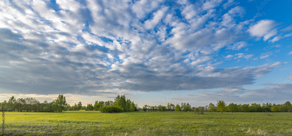 Fototapeta premium Evening landscape. Blue sky with clouds above the horizon. early spring in the countryside, soft sunlight on the grass.