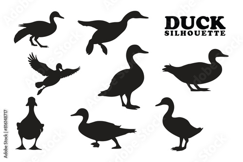 Duck silhouette collection. Set of black Duck silhouette. Duck silhouette set.