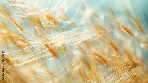 A close up of a wheat field swaying in the wind, a beautiful natural landscape showcasing agriculture and the peacefulness of the meadow AIG50 photo