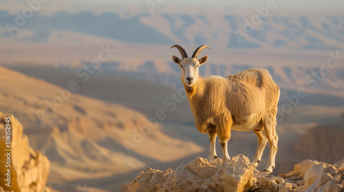 The Nubian mountain goat the crater of Mitzpe Ramon The Negev Desert Israel : Generative AI