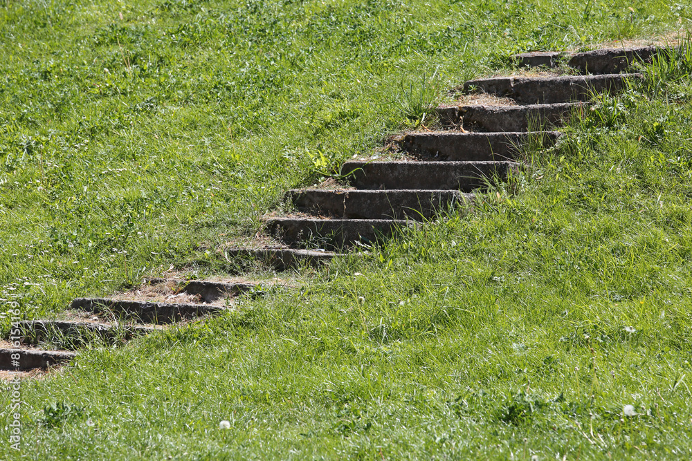 Obraz premium Steps through the grassy hillside