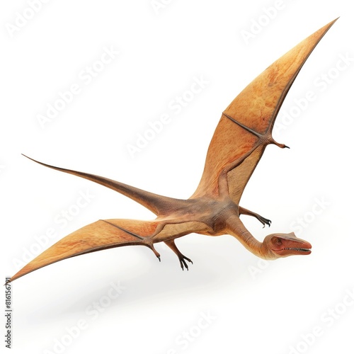 Realistic Pterosaur in Flight on White Background, Detailed Prehistoric Reptile Illustration