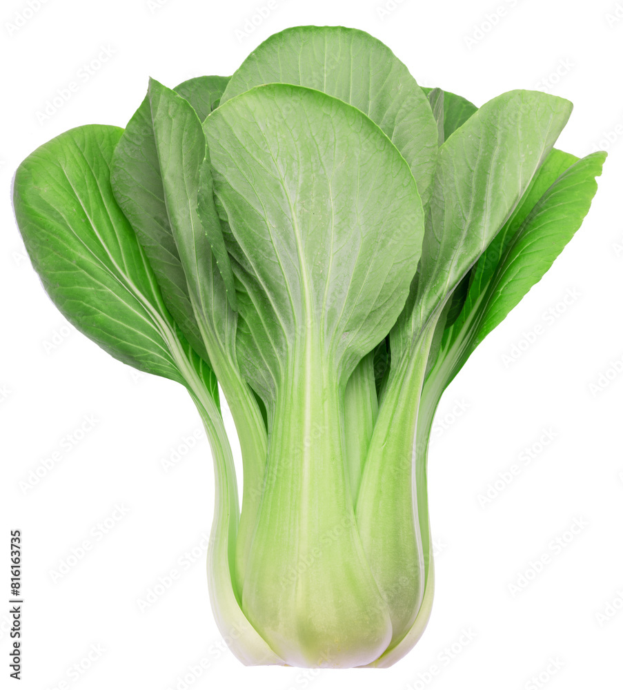 Fresh bok choy or chinese cabbage isolated on white background. File contains clipping path. Fresh bok choy or chinese cabbage isolated on white background. File contains clipping path.