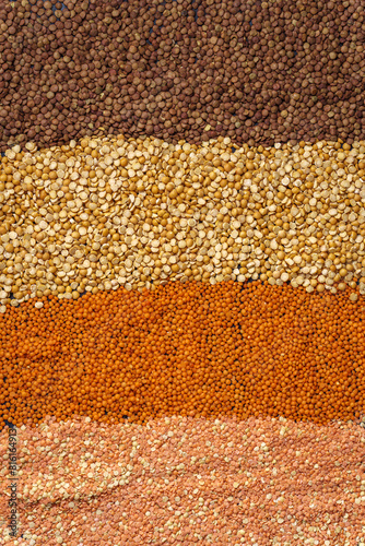 Scattered across table in strips of lentils of different colors above