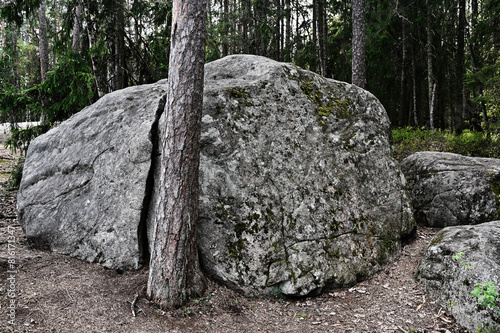 large stone boulder in a deep forest