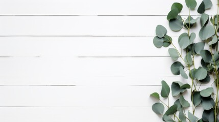 A minimalist and elegant white wooden background overlaid with fresh green eucalyptus leaves, suitable for backgrounds and design elements