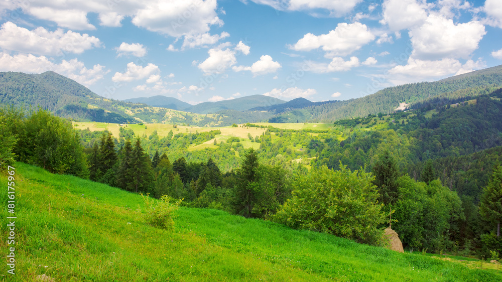 Fototapeta premium nature scenery with hills and meadows. rural valley in the distance. sunny afternoon in summer. beautiful countryside landscape of ukrainian carpathians in dappled light beneath a sky with clouds