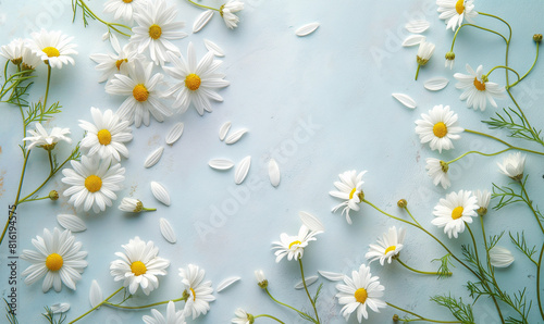 Marguerite Bloom Frame