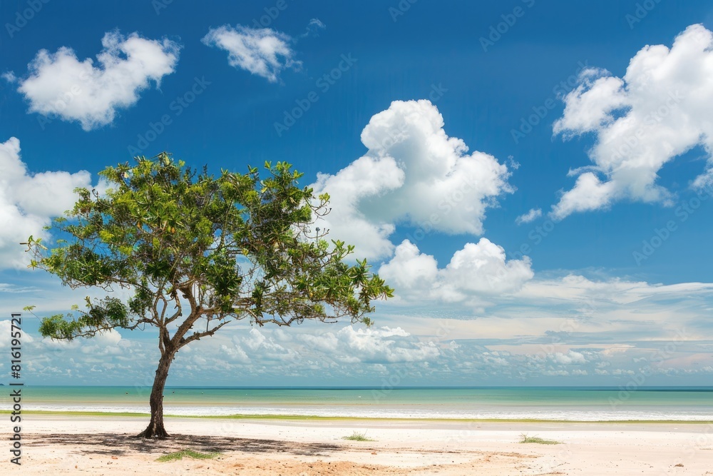 Beach Tree at Havaizinho Beach, Itacare, South Bahia, Brazil. Colorful Coastline under