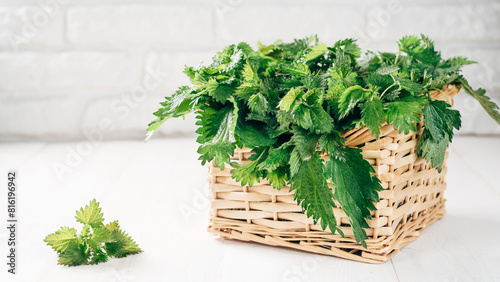 Basket of fresh stinging nettle leaves on white wooden table. Nettle leaf with copy space. Horizontal. Banner photo