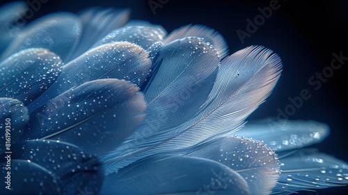   A close-up of a feather with water droplets on its feathers appears blue with white speckles