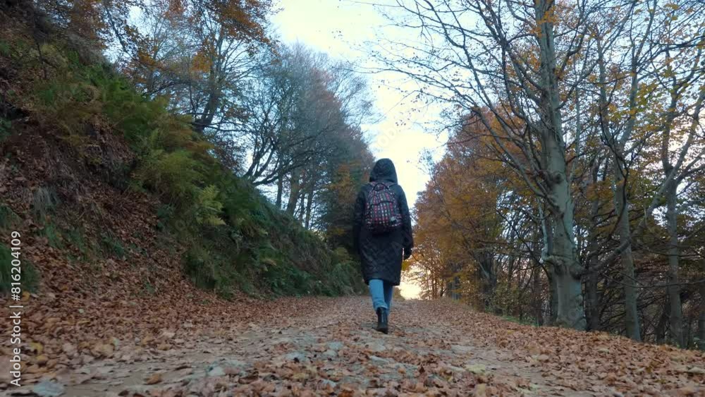 Autumn in the mountains. A girl, a hiker with a backpack, walks through the autumn forest in the Alps, Italy. Active lifestyle. Autumn mountain landscape where tree leaves display shades of red Autumn in the mountains. A girl, a hiker with a backpack, walks through the autumn forest in the Alps, Italy. Active lifestyle. Autumn mountain landscape where tree leaves display shades of red