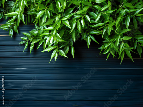 plant with green leaves hangs over a dark blue wooden surface