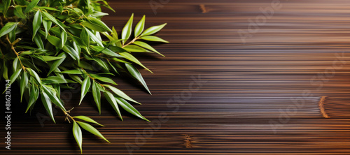 bamboo leaf branch on a dark brown wooden background