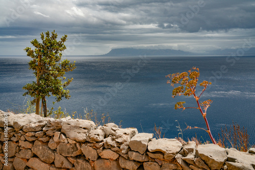 Summer landscape of Zingaro Nature Reserve Park between San Vito lo Capo and Scopello Trapani province, Sicily, Italy 