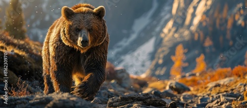 Grizzly bear walking through mountain