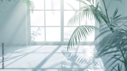 Abstract white studio background for product presentation Empty room with shadows of window and flowers and palm leaves  3d room with copy space Summer concert Blurred backdrop   Generative AI