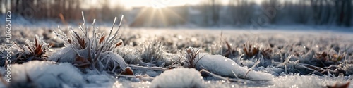 Panoramic view winter landscape  Frozen plants covered with ice and snow under sunlight  christmas wishes and greeting card