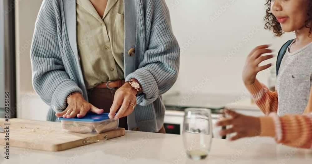 Mother, child and packing school lunch at home for healthy nutrition or container, sandwich or backpack. Woman, daughter and student bag for morning preparation or food snacks, helping or breakfast Mother, child and packing school lunch at home for healthy nutrition or container, sandwich or backpack. Woman, daughter and student bag for morning preparation or food snacks, helping or breakfast