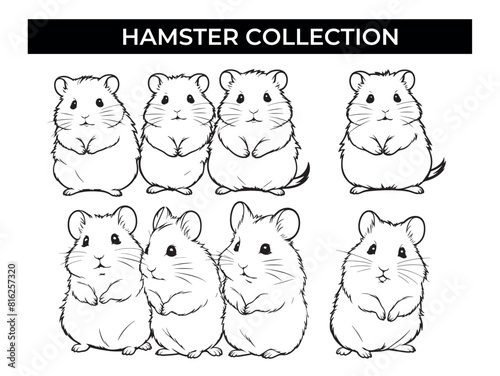 A Set of Hamsters in Various Poses
