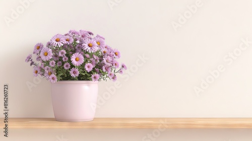 Aster flowers background with copy space.