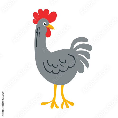 Colorful rooster in flat style isolated on white background.Vector illustration of poultry farming in doodle style. Farming and poultry farm

