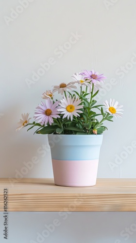 Wallpaper Mural Aster flowers background with copy space. Valentines day, mothers day, women's day concept. Torontodigital.ca