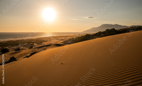 Fototapeta Naklejka Na Ścianę i Meble -  Resembling a desert, Patara sand dunes offer an unforgettable experience with both its view and the ancient city and beach around it.