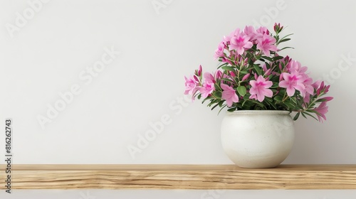 Azalea flower background with copy space.