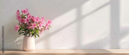 Azalea flower background with copy space.