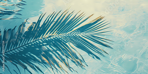 Calm scene with a single palm leaf shadow cast on a tranquil blue water surface, conveying serenity