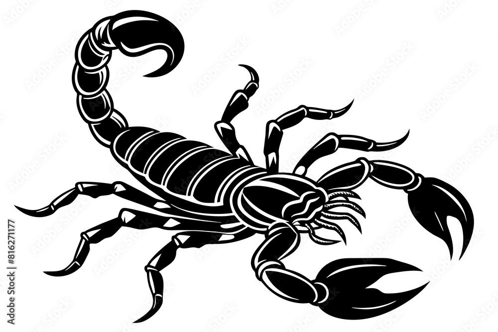 scorpion line art silhouette illustration scorpion line art silhouette illustration